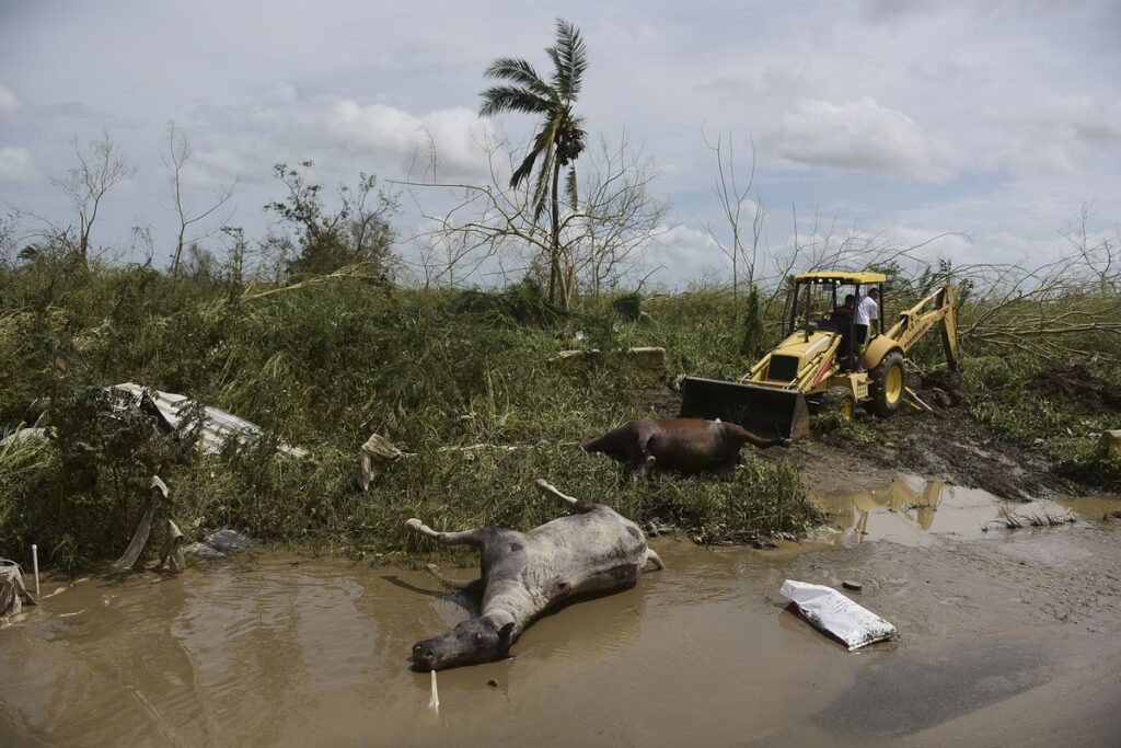 Photo of puerto Rico in the aftermath of hurricane Maria